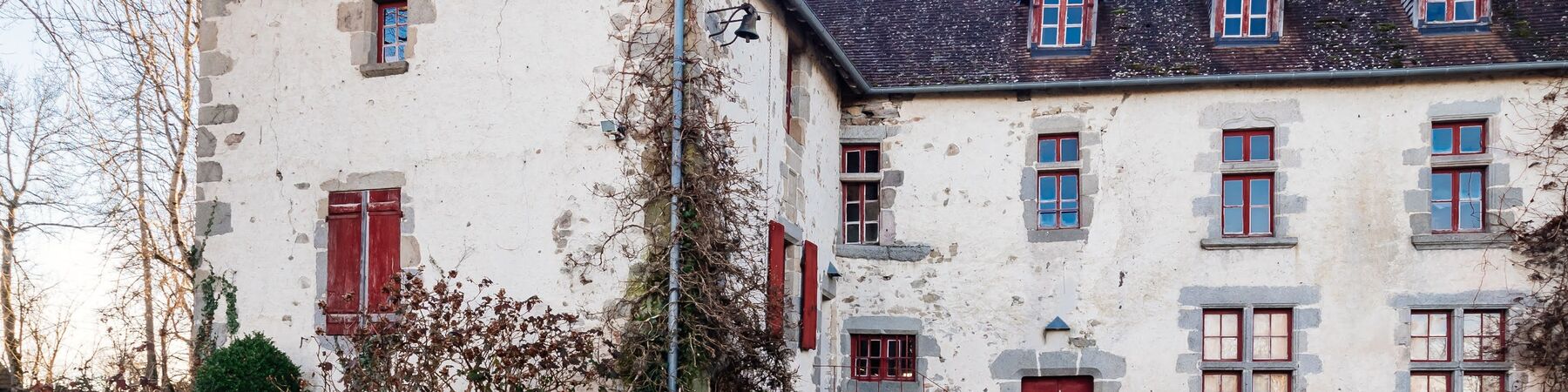 Montflour Snowy Montflour Snowy